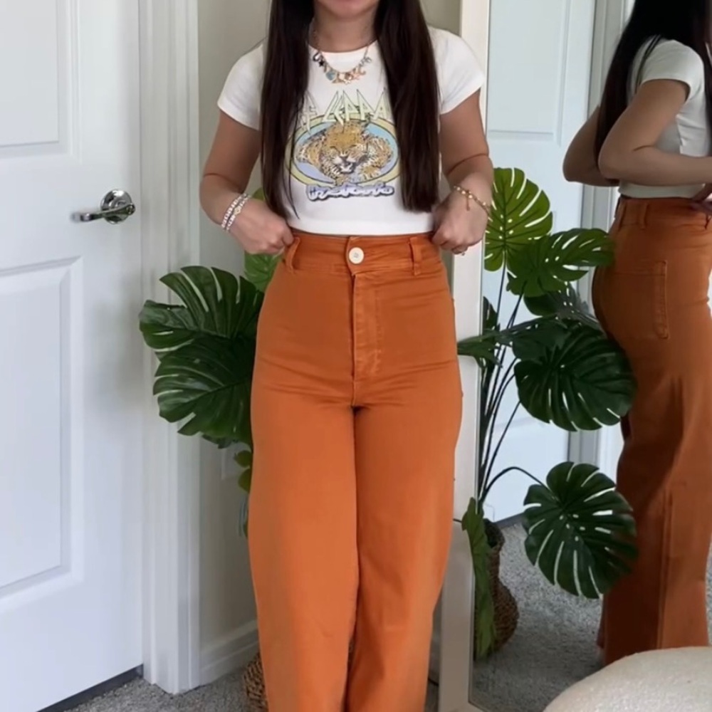 Zara Marine Pants